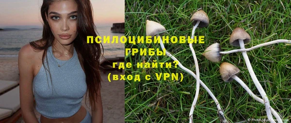 эйфоретик Арсеньев